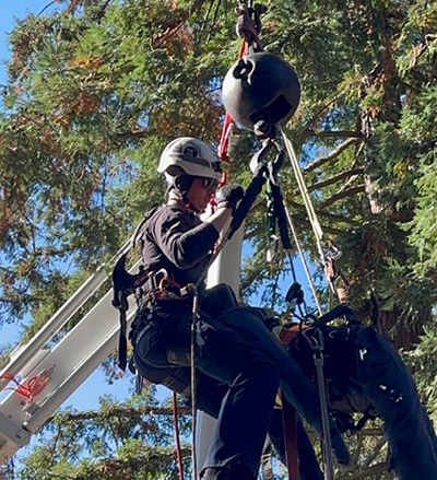 incident-management-image